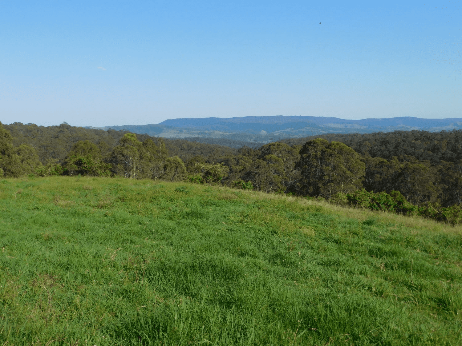 Bulmers Road, HOGARTH RANGE, NSW 2469