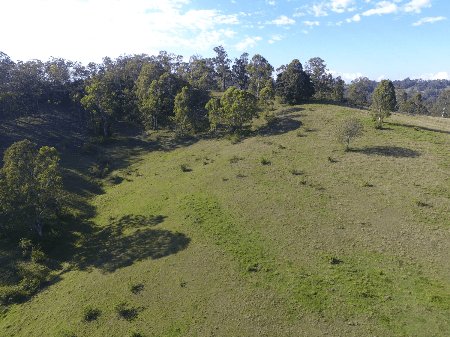 Bulmers Road, HOGARTH RANGE, NSW 2469