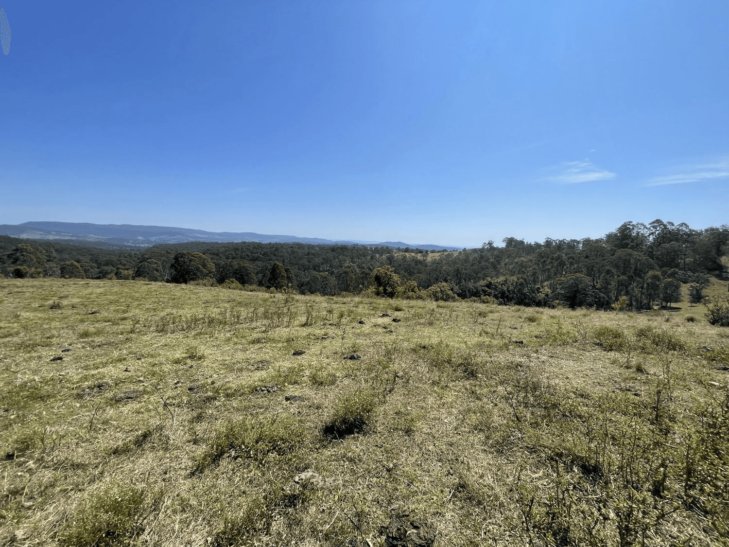 Bulmers Road, HOGARTH RANGE, NSW 2469