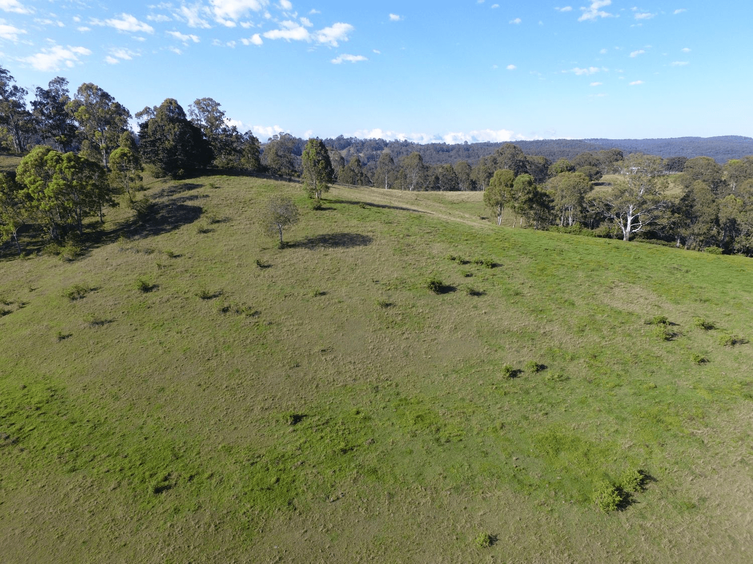 Bulmers Road, HOGARTH RANGE, NSW 2469