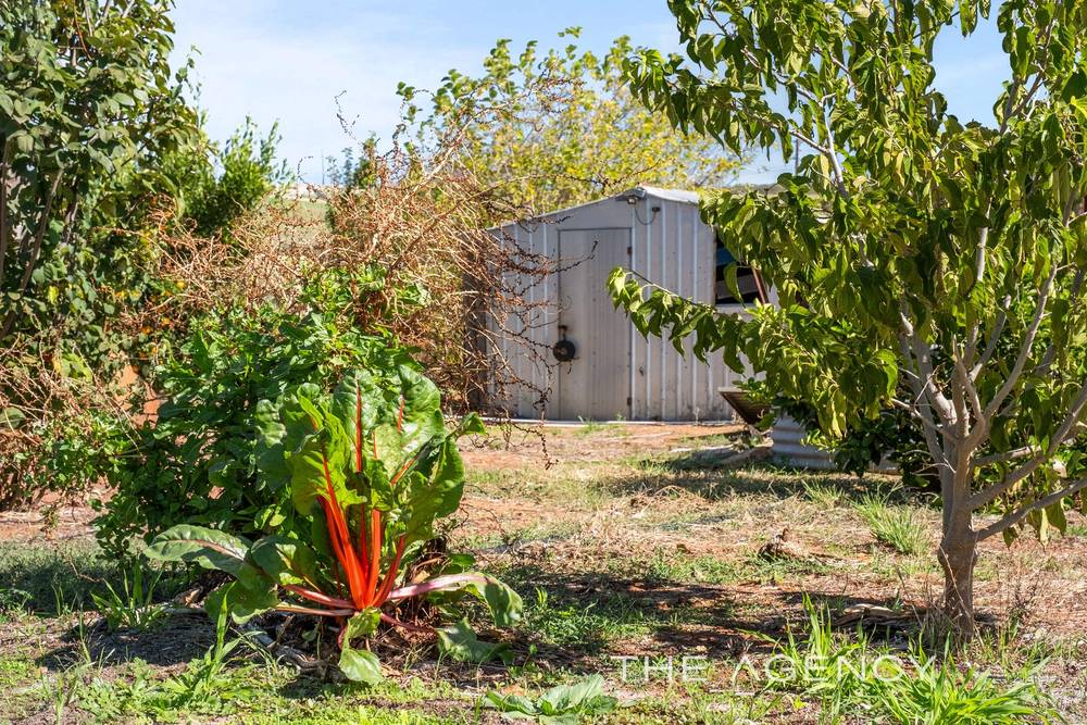 6 Jacamar Drive, Northam, WA 6401