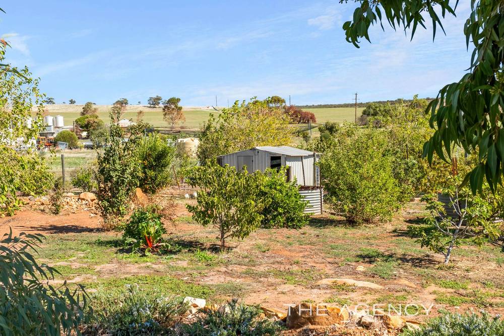 6 Jacamar Drive, Northam, WA 6401