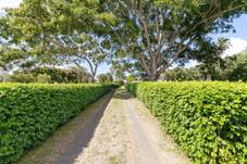 1350 Maryborough Hervey Bay Rd, Dundathu, QLD 4650