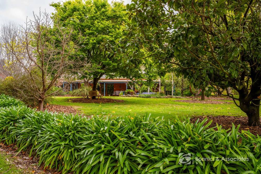 206 Alma Road, Beechworth, VIC 3747