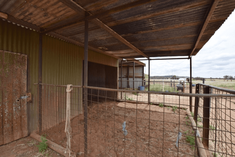 Lot 272 North Terrace, QUORN, SA 5433