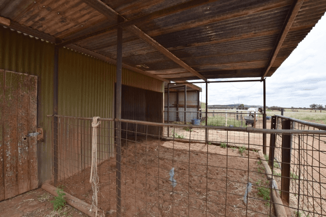 Lot 272 North Terrace, QUORN, SA 5433