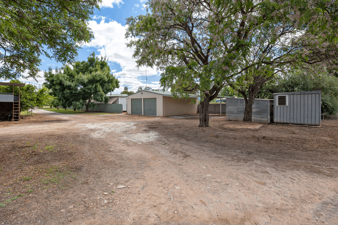 14 Wellman Street, ARIAH PARK, NSW 2665