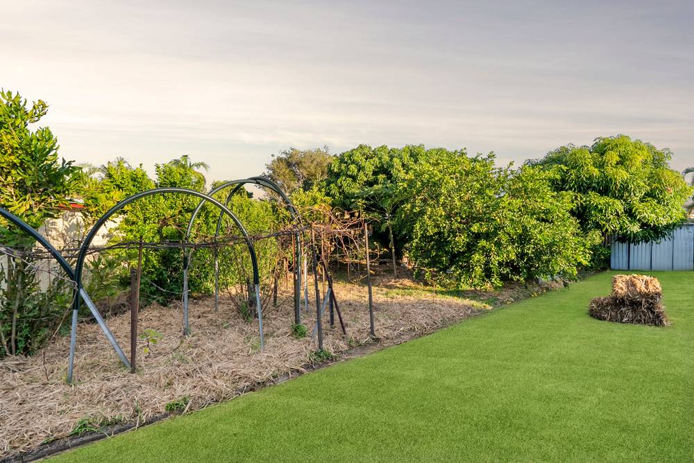 41 Jacaranda Avenue, TWEED HEADS WEST, NSW 2485