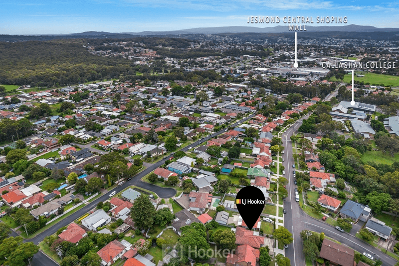 93 Janet Street, NORTH LAMBTON, NSW 2299