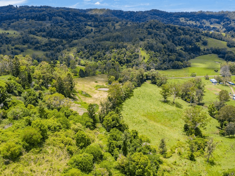 Lot B / 1233 Jiggi Road, GEORGICA, NSW 2480