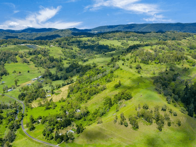 Lot B / 1233 Jiggi Road, GEORGICA, NSW 2480