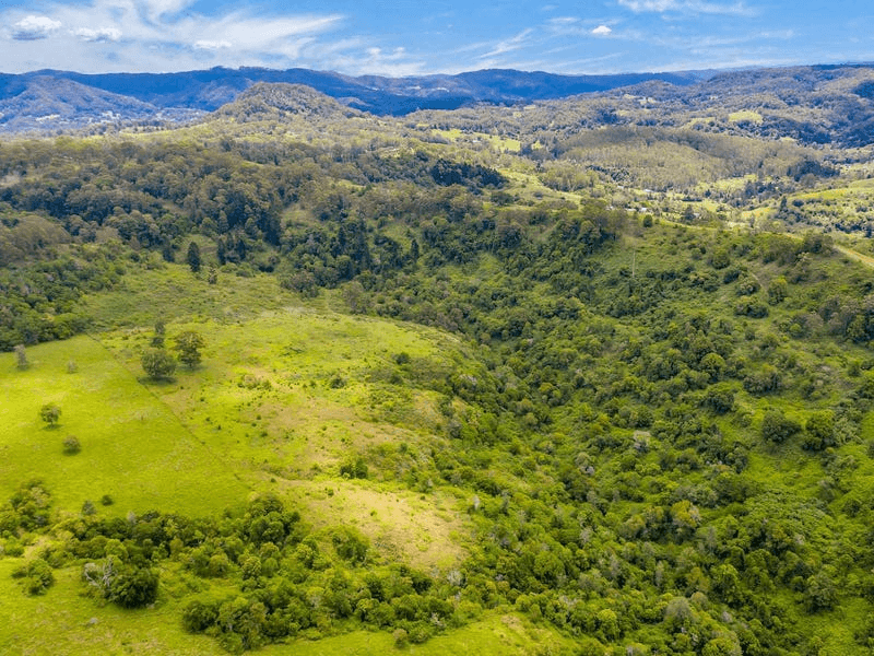 Lot B / 1233 Jiggi Road, GEORGICA, NSW 2480