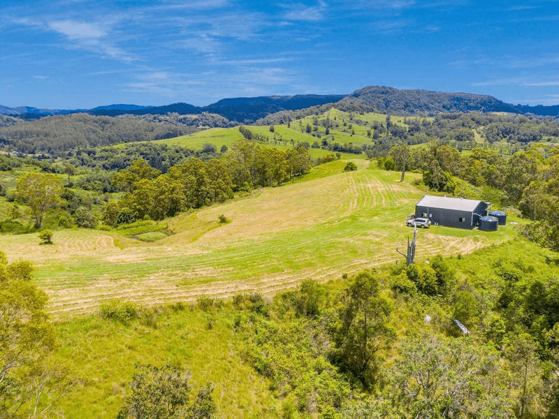 Lot B / 1233 Jiggi Road, GEORGICA, NSW 2480