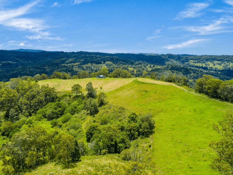 Lot B / 1233 Jiggi Road, GEORGICA, NSW 2480