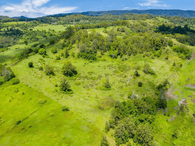 Lot B / 1233 Jiggi Road, GEORGICA, NSW 2480