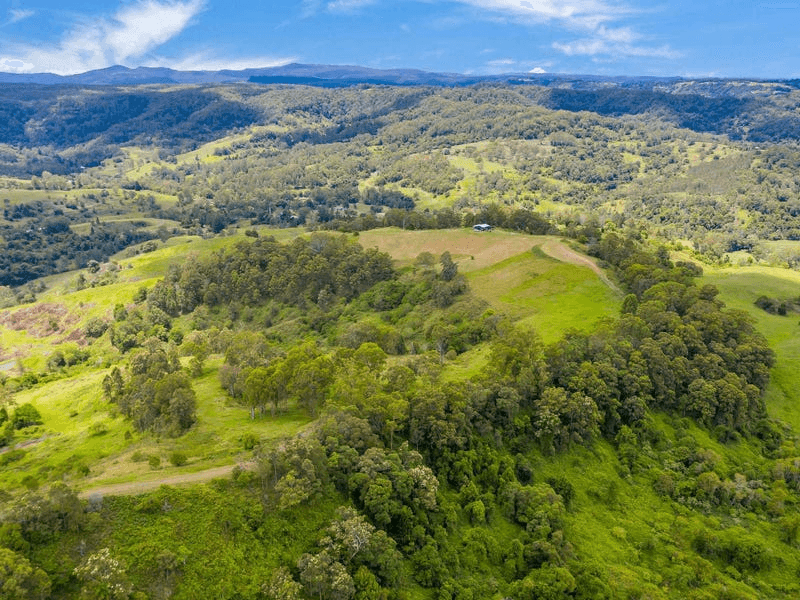 Lot B / 1233 Jiggi Road, GEORGICA, NSW 2480