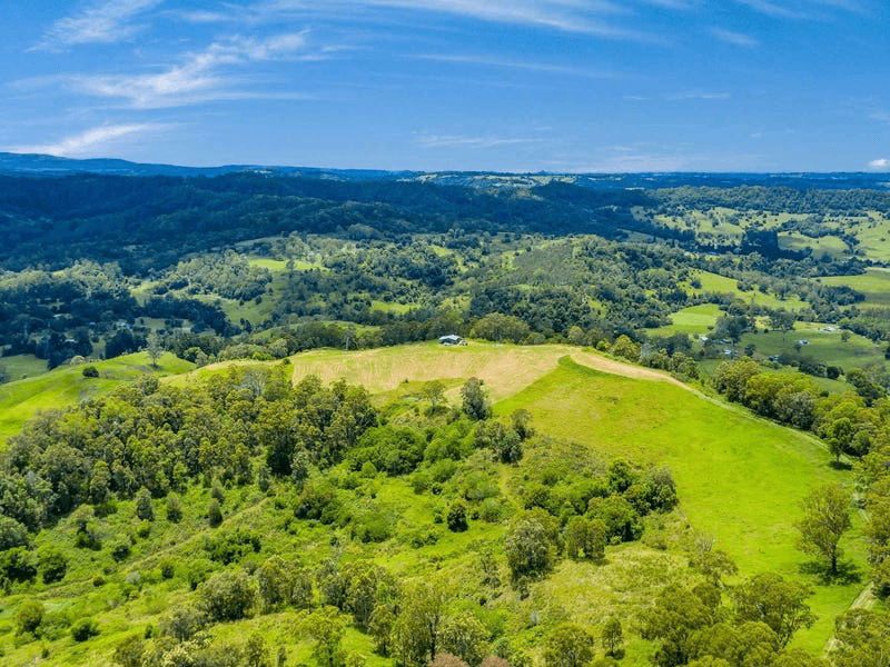 Lot B / 1233 Jiggi Road, GEORGICA, NSW 2480