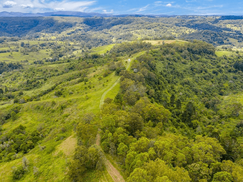 Lot B / 1233 Jiggi Road, GEORGICA, NSW 2480