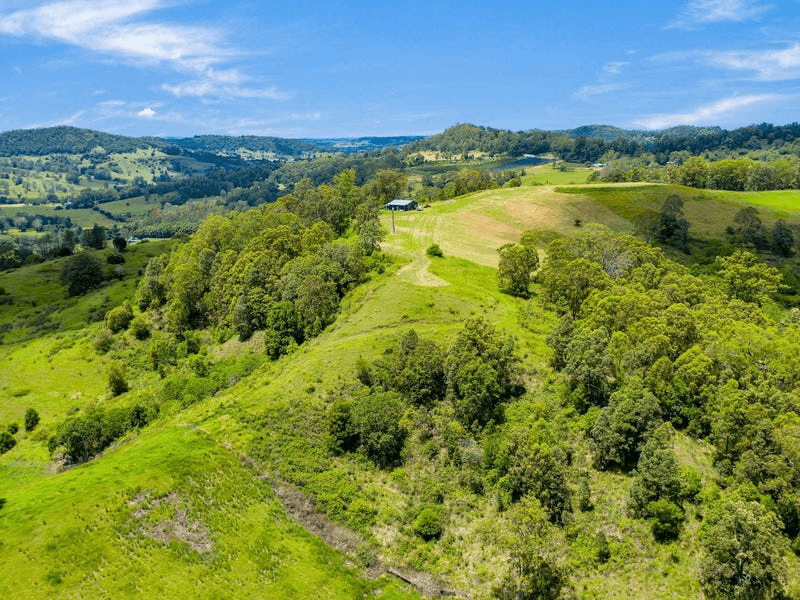 Lot B / 1233 Jiggi Road, GEORGICA, NSW 2480