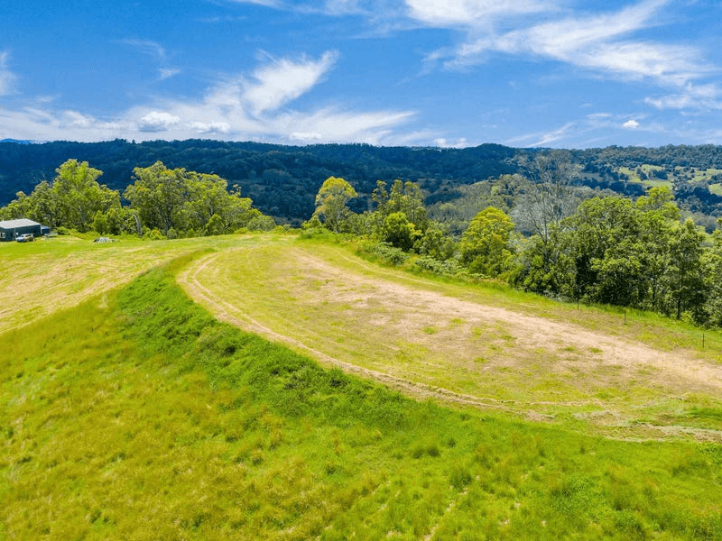 Lot B / 1233 Jiggi Road, GEORGICA, NSW 2480