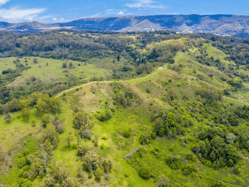 Lot B / 1233 Jiggi Road, GEORGICA, NSW 2480