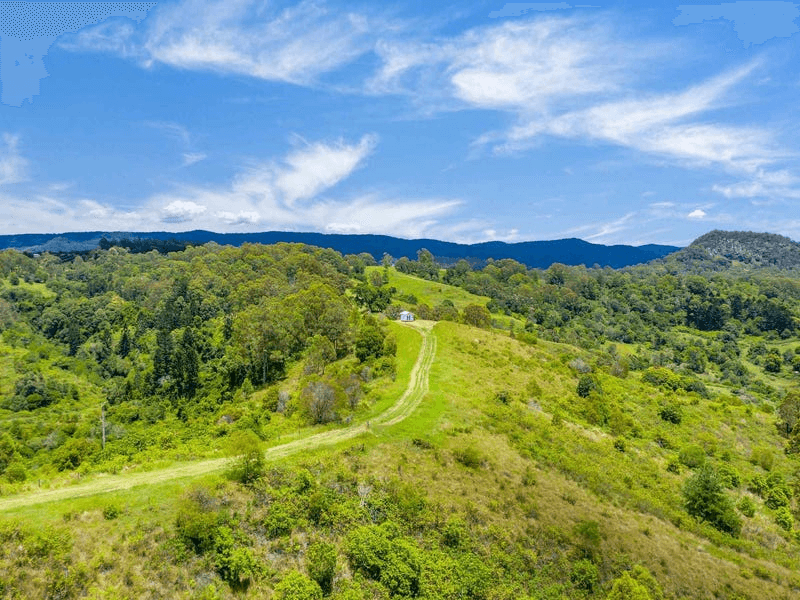 Lot B / 1233 Jiggi Road, GEORGICA, NSW 2480