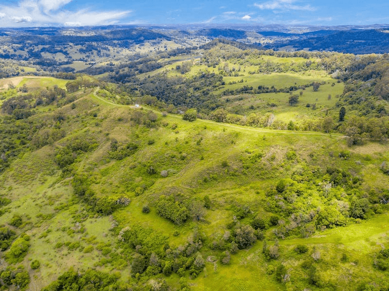 Lot B / 1233 Jiggi Road, GEORGICA, NSW 2480