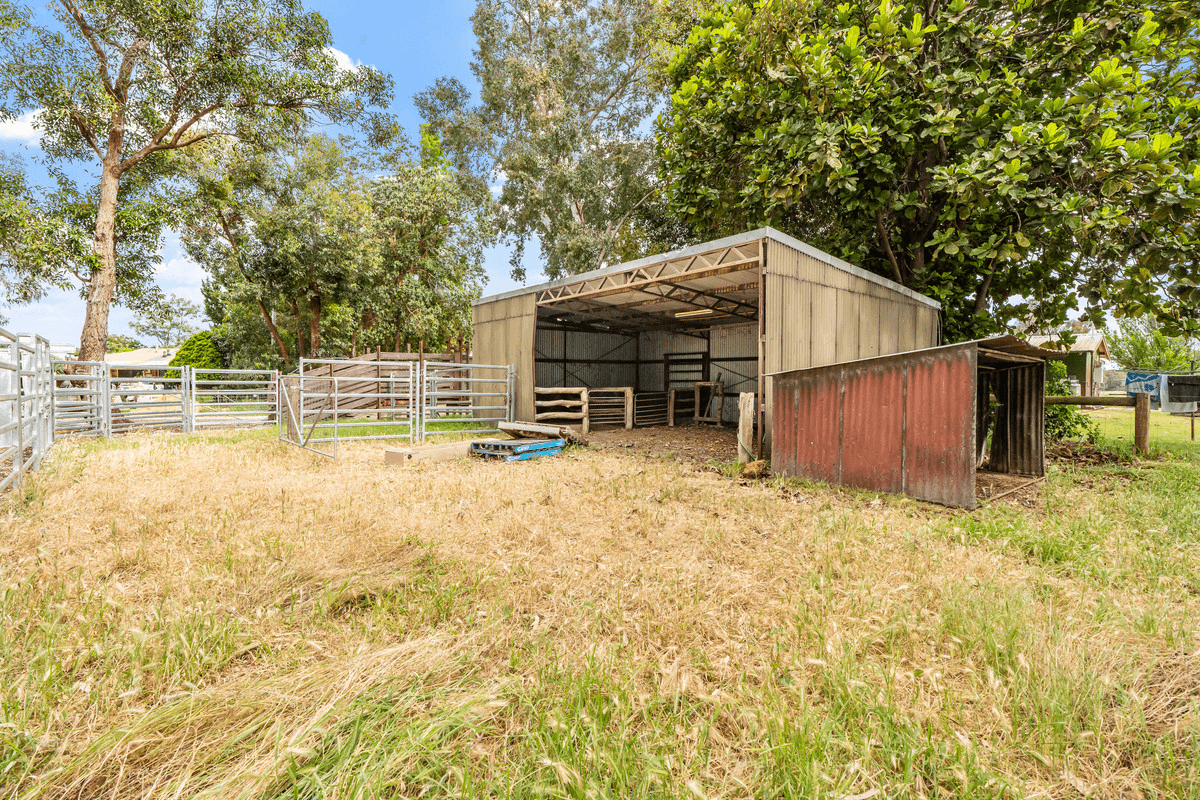 53 Reilly Road, Boyanup, WA 6237