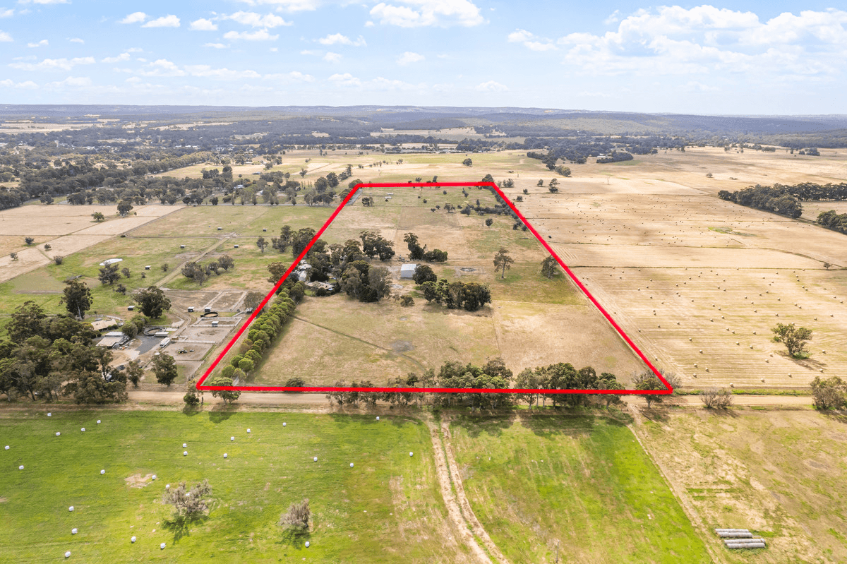 53 Reilly Road, Boyanup, WA 6237