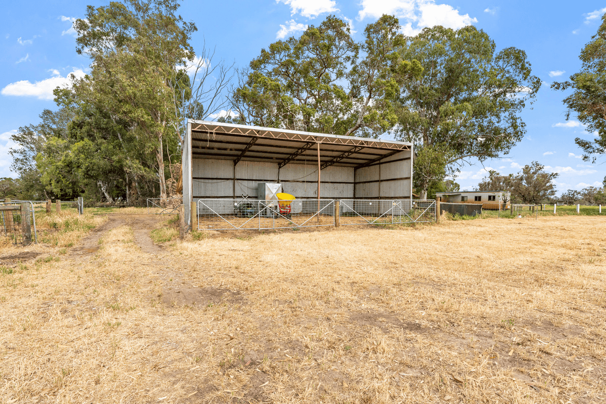 53 Reilly Road, Boyanup, WA 6237