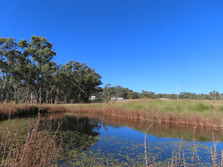 487 Bents Road, BALLANDEAN, QLD 4382