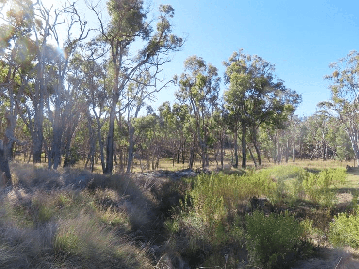 487 Bents Road, BALLANDEAN, QLD 4382