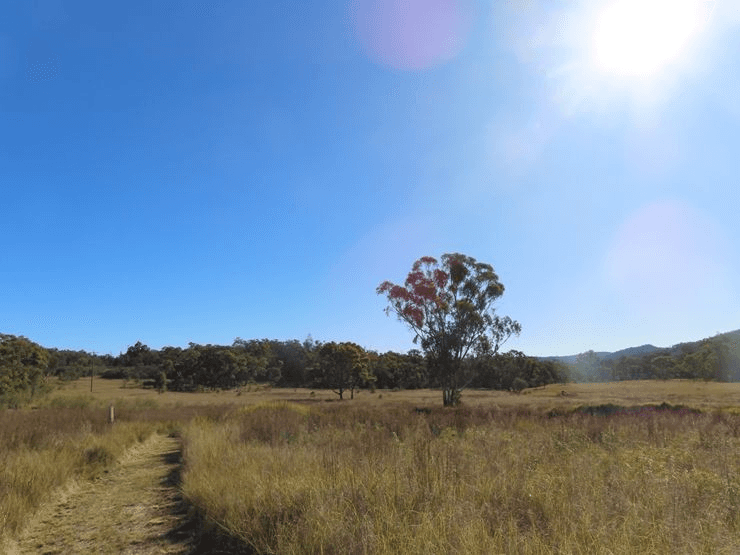 487 Bents Road, BALLANDEAN, QLD 4382