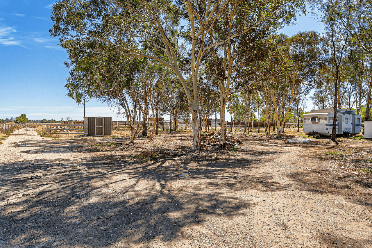 49 Williams Road, TWO WELLS, SA 5501