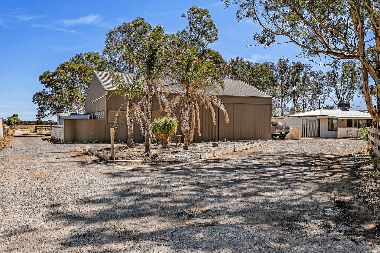 49 Williams Road, TWO WELLS, SA 5501