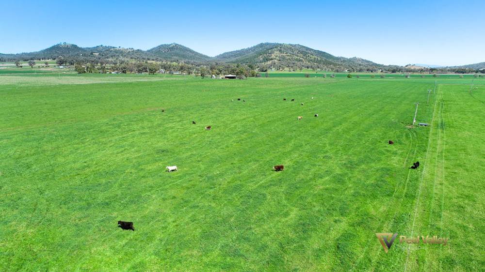 773 Back Kootingal Road Kootingal, TAMWORTH, NSW 2340