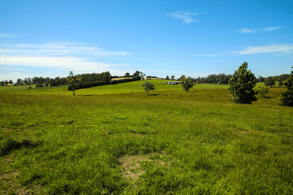 10  Walton Road, DROUIN WEST, VIC 3818