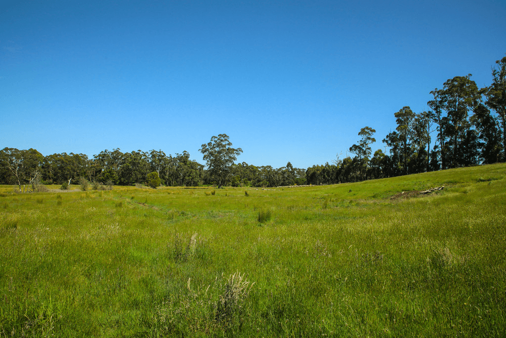 10  Walton Road, DROUIN WEST, VIC 3818