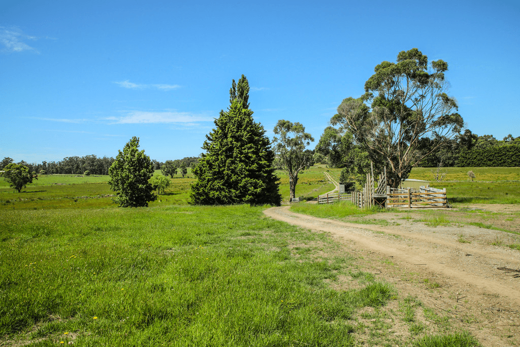 10  Walton Road, DROUIN WEST, VIC 3818