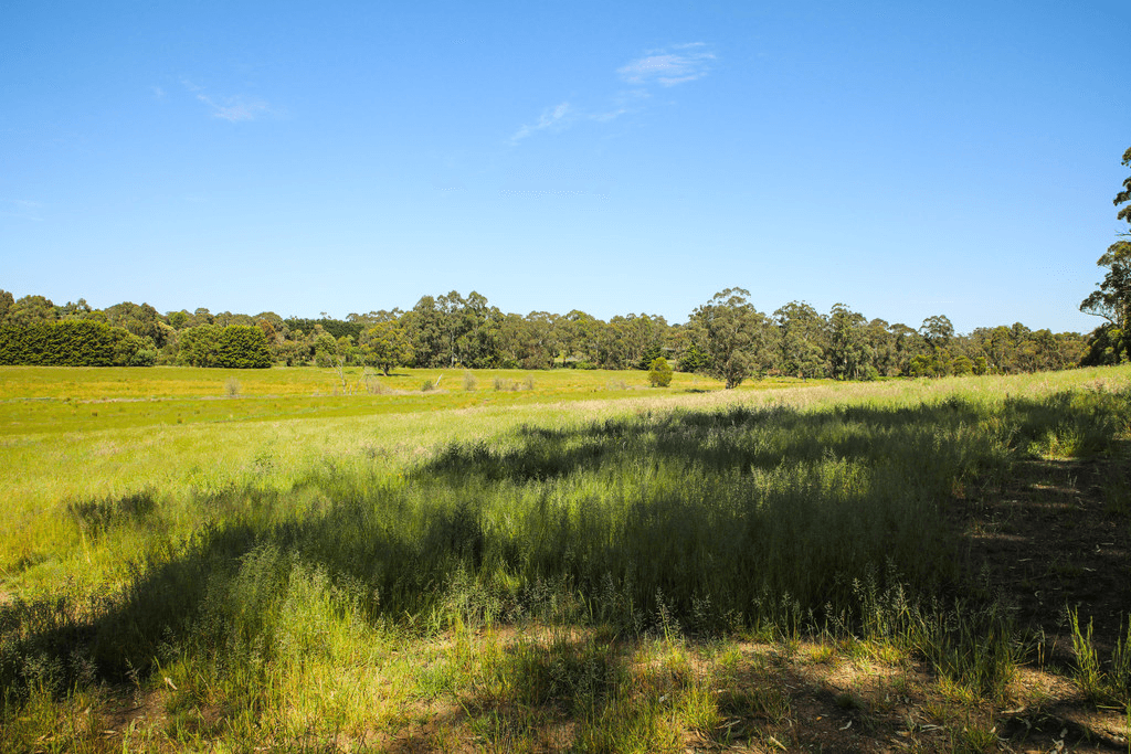 10  Walton Road, DROUIN WEST, VIC 3818