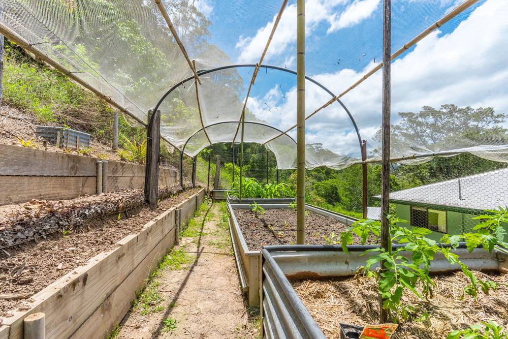 58 Dry Creek Road, UPPER MAIN ARM, NSW 2482