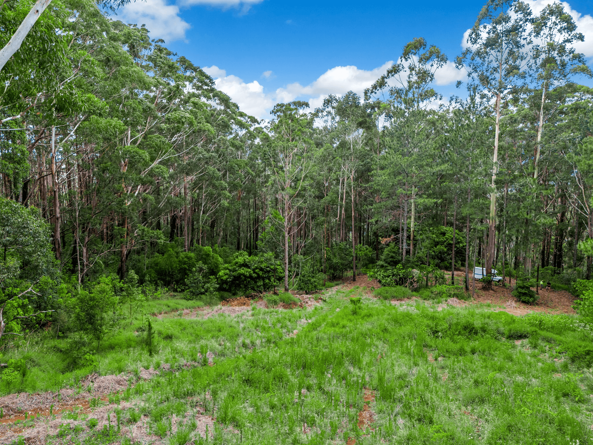 58 Dry Creek Road, UPPER MAIN ARM, NSW 2482