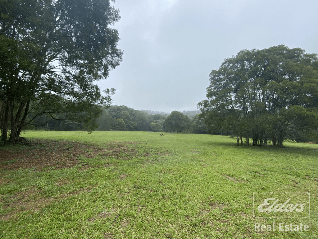 202 Kenny Road, MILLAA MILLAA, QLD 4886