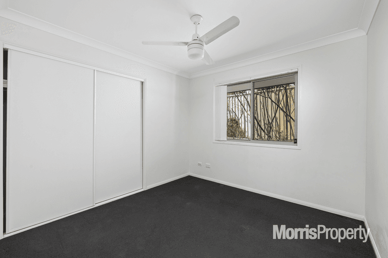 13 Currawong Crescent, UPPER COOMERA, QLD 4209