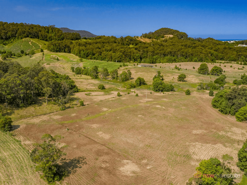 170 North Boambee Road, NORTH BOAMBEE VALLEY, NSW 2450