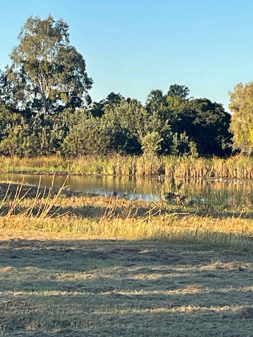 LOT 17 BRIDGEWATER EST. KUNIPIPI RD, LAGUNA QUAYS, QLD 4800