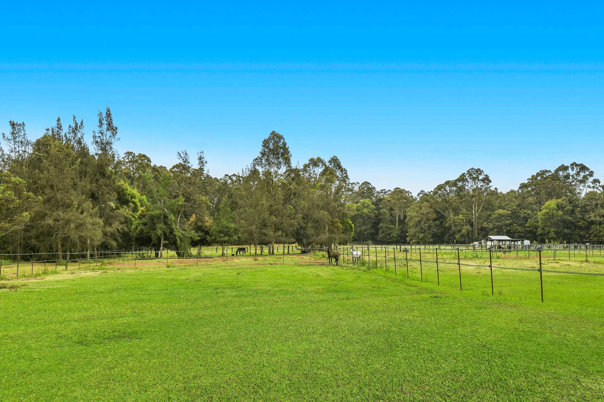 1313 Dooralong Road, Dooralong, NSW 2259