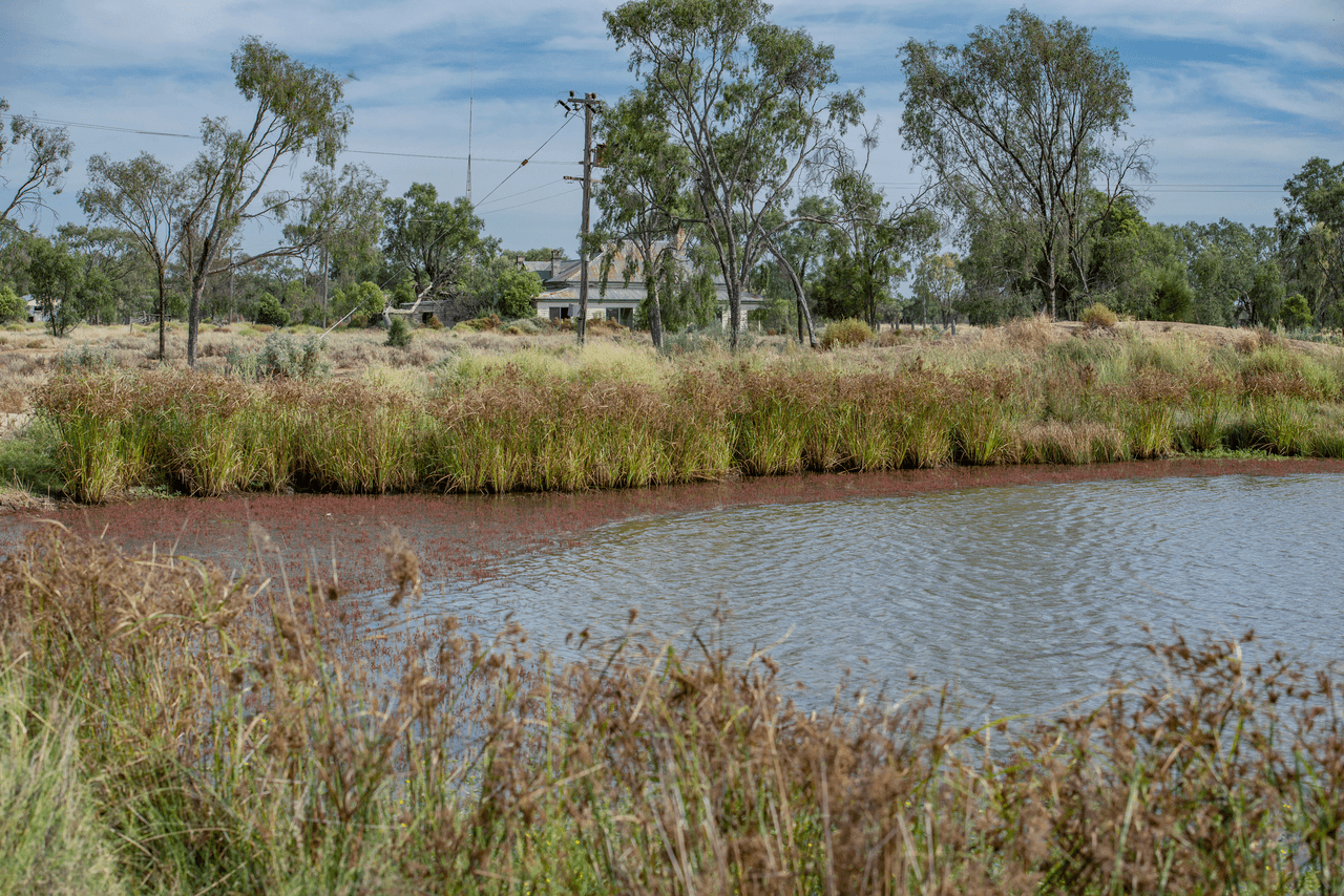 390 THARA Road, COONAMBLE, NSW 2829