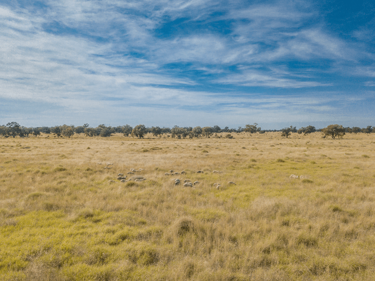 390 THARA Road, COONAMBLE, NSW 2829