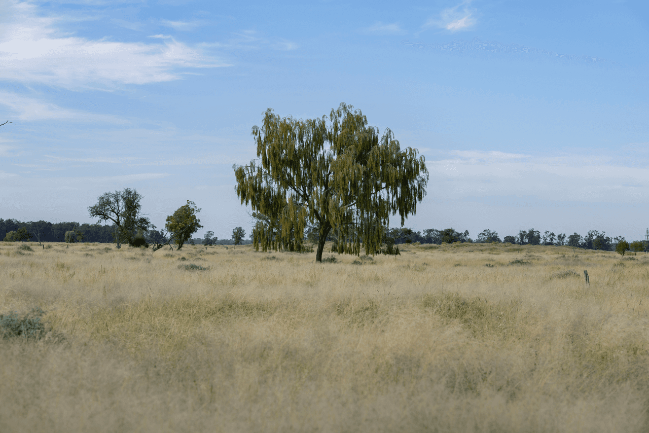 390 THARA Road, COONAMBLE, NSW 2829